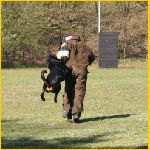 c-schutzdienst-6.jpg